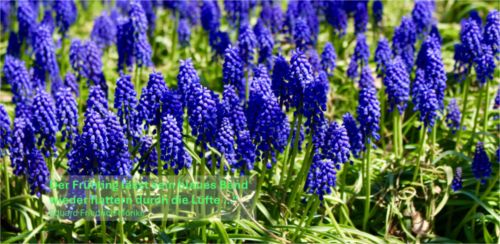 Frühlingsgrüße 2026