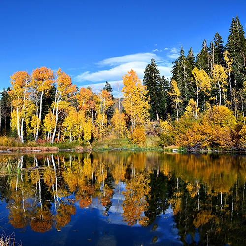 jahreszeitengruesse_herbst